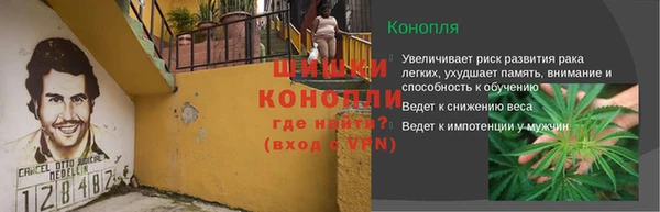 бошки Богородицк