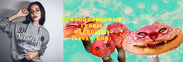 бошки Богородицк